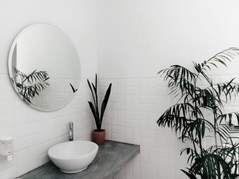 een badkamer met een wastafel, spiegel en potplant.