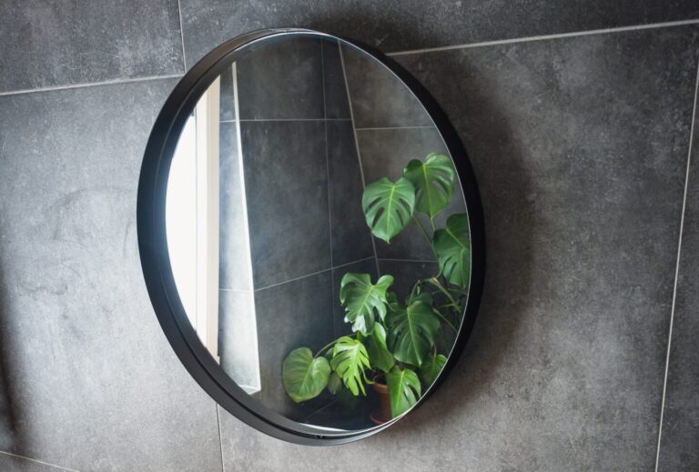 een spiegel aan de muur met een plant erin.